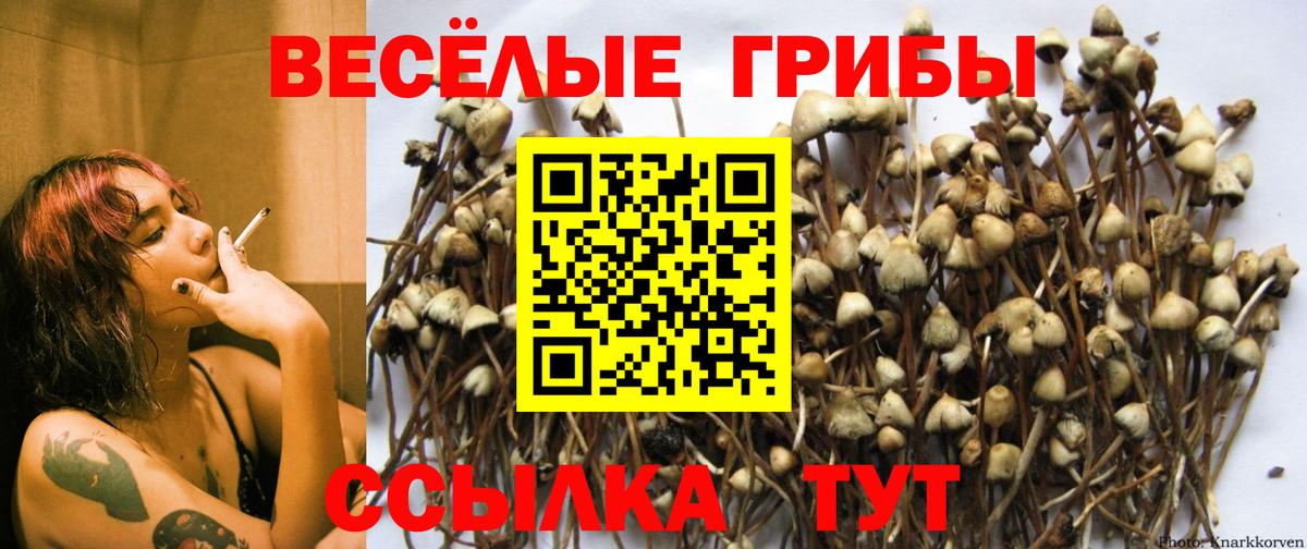 Псилоцибиновые грибы мухоморы Дагестанские Огни